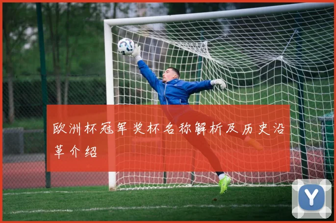 欧洲杯冠军奖杯名称解析及历史沿革介绍
