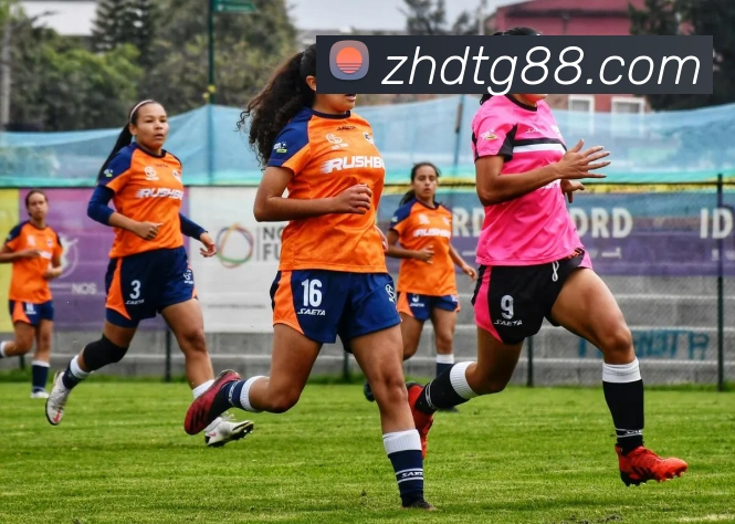 世界杯官网登录app品牌故事